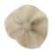 Hello Honey® 7.5" Cream Reactive Glaze Round Stoneware Ruffled Bowl